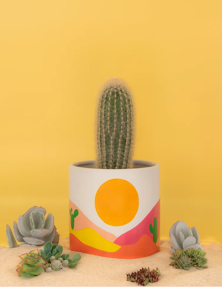 Pot Paint - Desert Kit